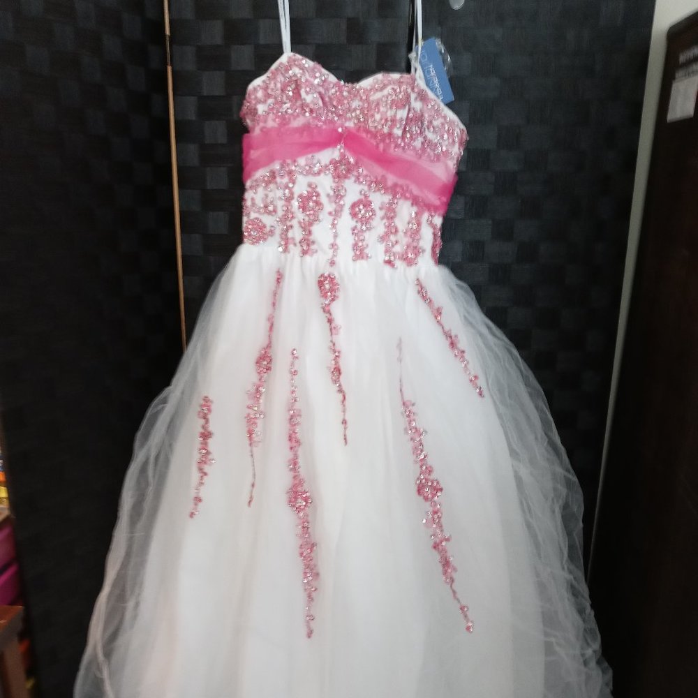 *50% OFF* Size L Applique Ballgown